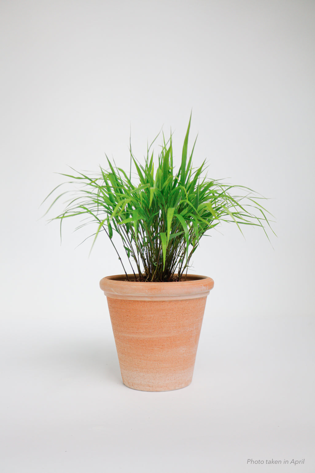 products/SotoProductShootLowQ-2004_5d33b152-93b8-408f-aa1c-c7ec5ae2adb2.jpg